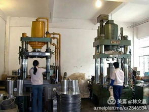 歲月如歌情永駐——原信宜市家用電器廠工友歡聚紀實